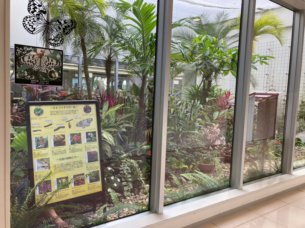 南ぬ島石垣空港「光庭』