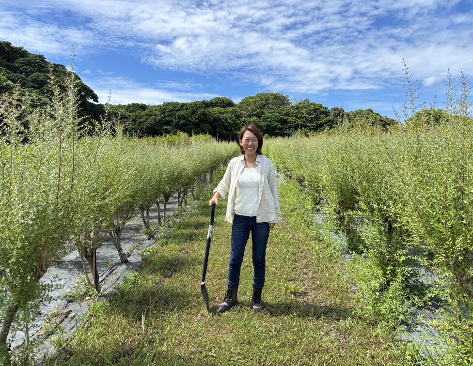 農業コンサル画像